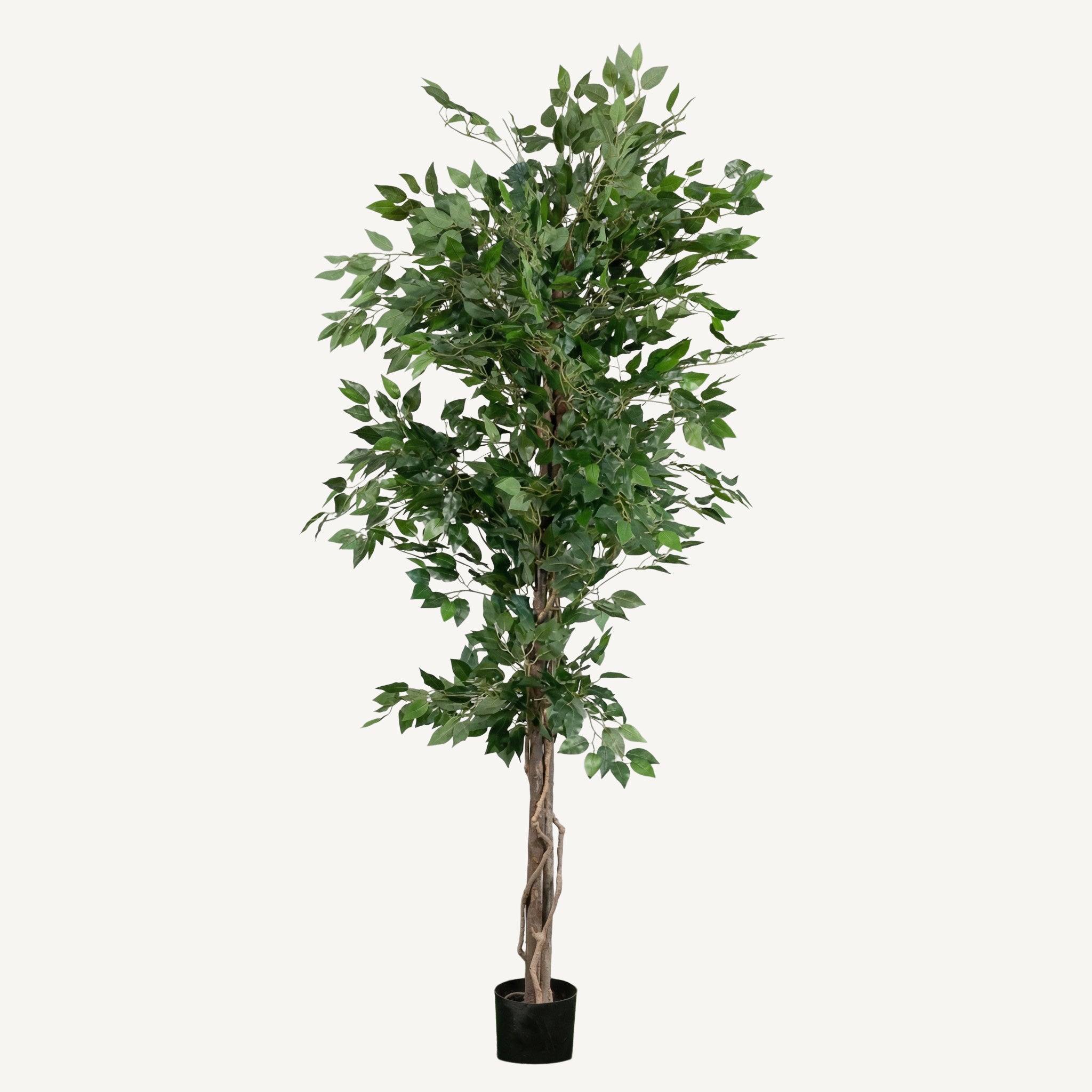 עץ פיקוס מלאכותי · 180 ס"מ